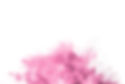 Canva - Pink powder explosion on white b