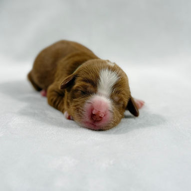 green band boy_edited.jpg