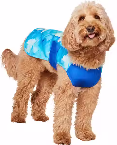 Summer cooling vest for dogs