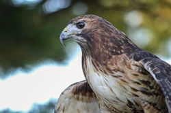 WINC Workshop Photography