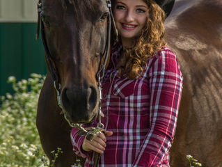 AQHA: Model Quarter Horses