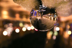 Nature/Landscape Photography