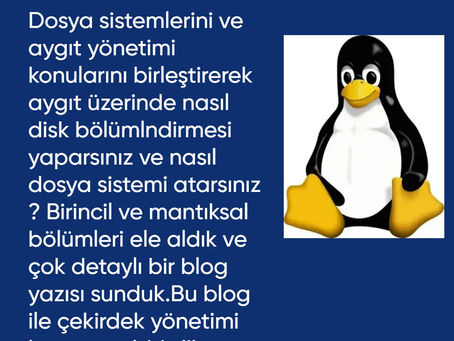 Linux Çekirdek Yönetimi-4.1