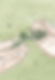 2 pimprenelle.jpg