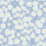 Daisy in Pattern – Australian Native Patterned Wallpaper