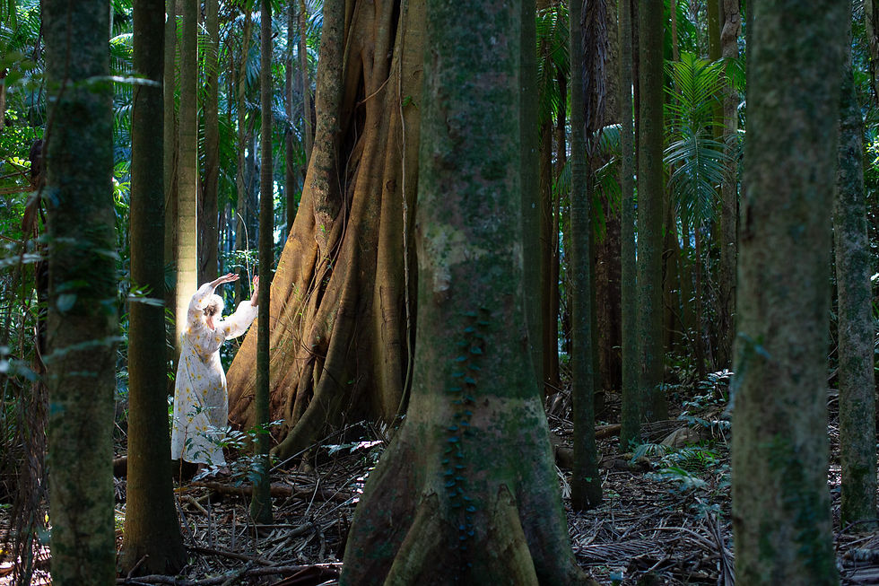 Backlit woman poses elegantly beside giant fig in Mount Tamborine