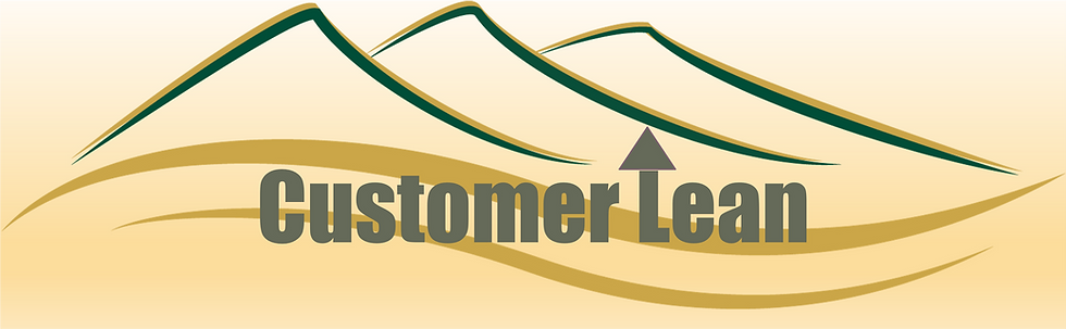 Customer Lean: A Good Time to Revisit an Evolving Idea 