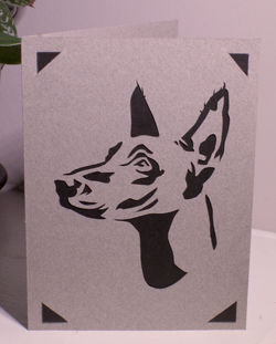 Xoloitzcuintli