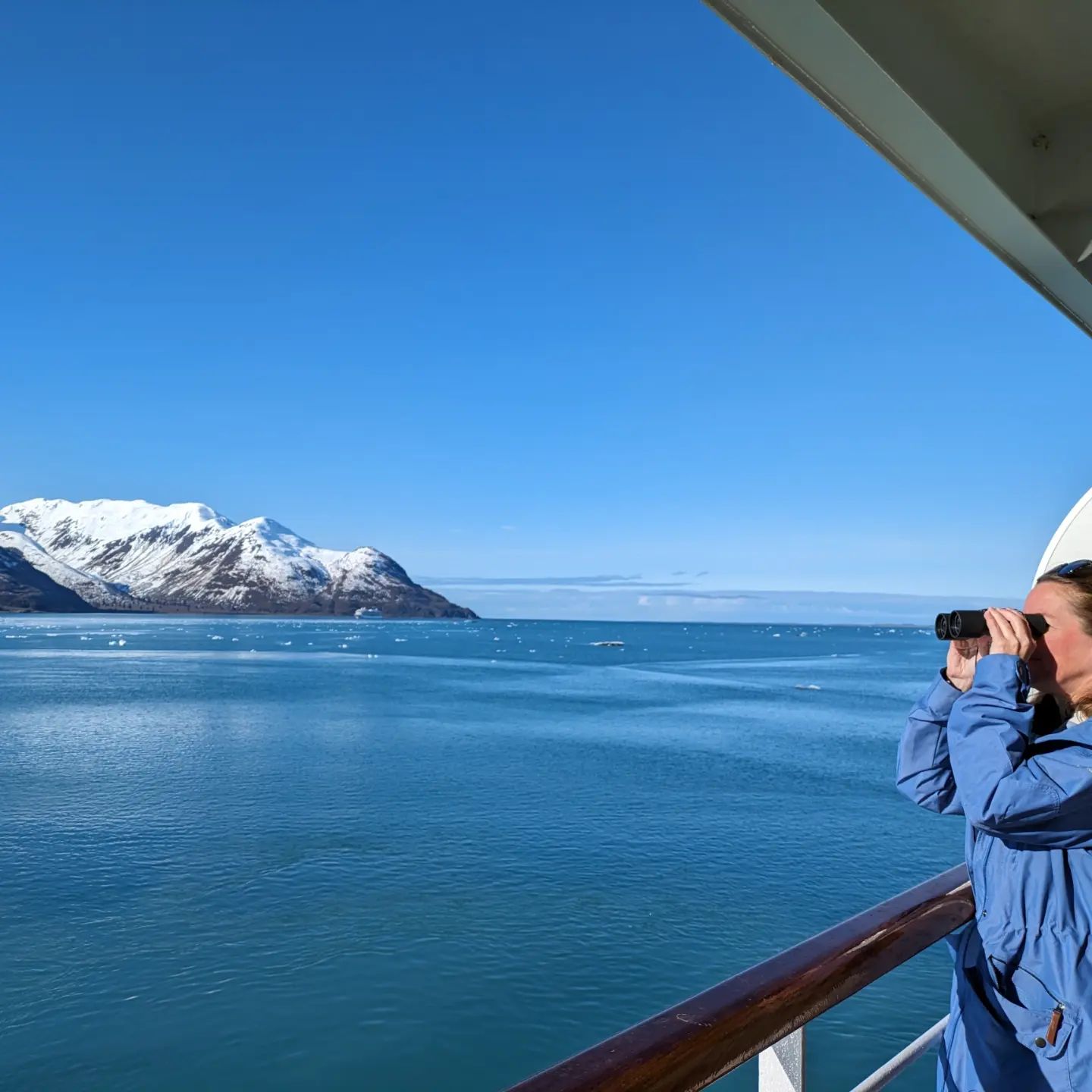 wildlife spotting in Alaska