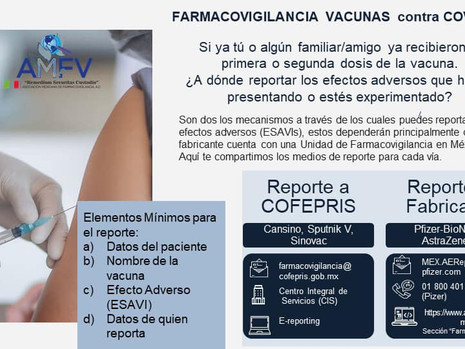AMFV Webinars.