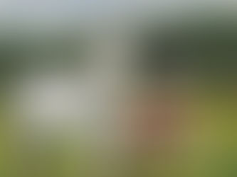 Festival of Traditional Irish Breeding Schedule for 2019