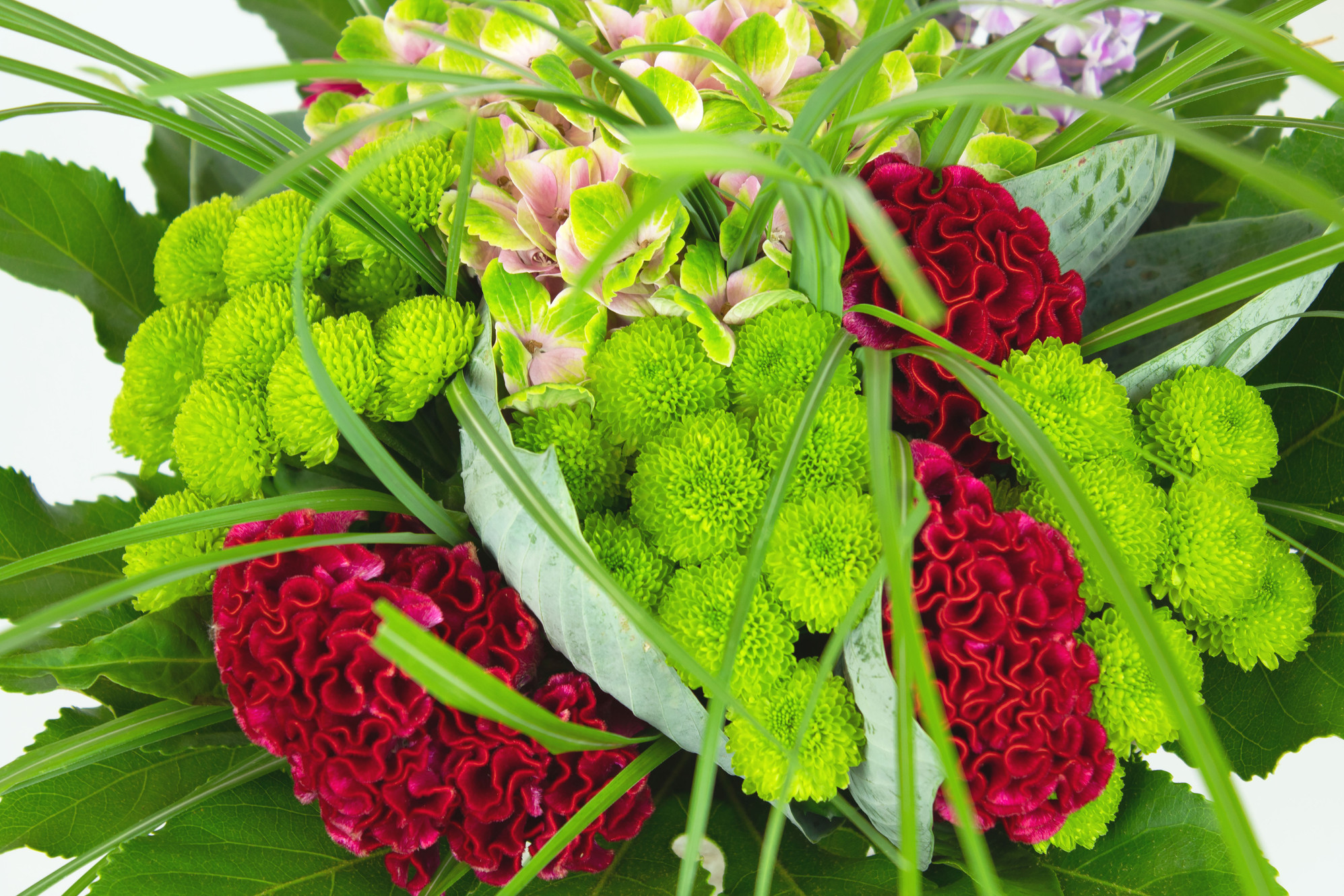 (c) Gd-fleurs.ch
