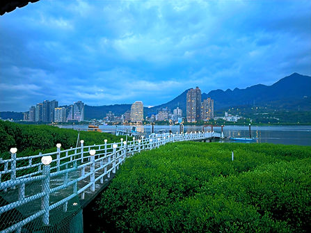 8748BDCA-5B4E-4323-A3CD-C81E402A0968_edited_edited.jpg