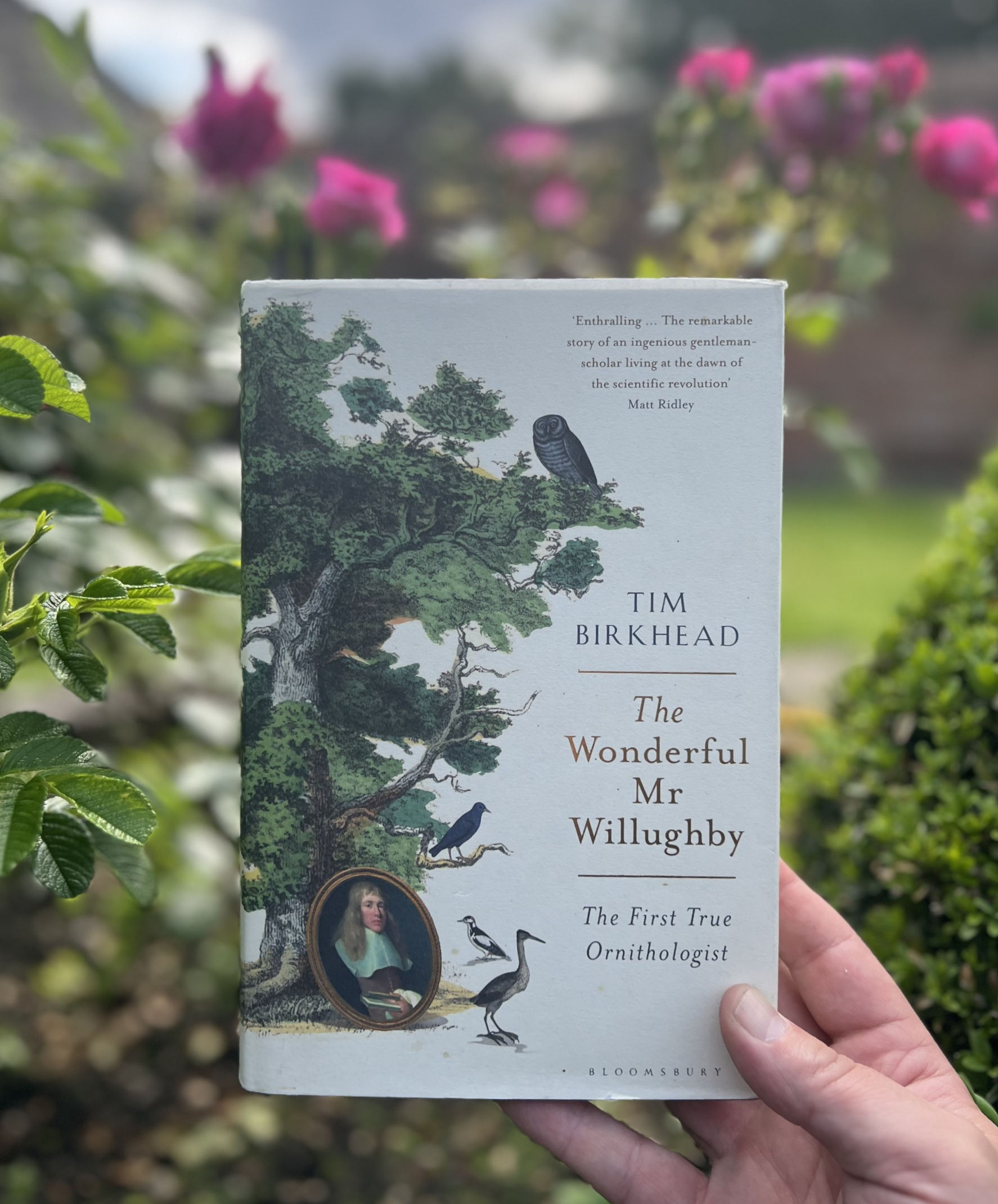 The Wonderful Mr. Willughby