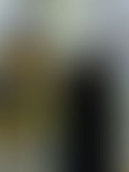 Sir Baldwin II de Freville