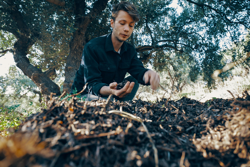 WILL ROLPH - WHAT CAN TWO FIELDS REALLY CHANGE?