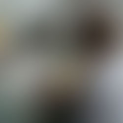 FLORA WALLACE - ARTIST & INK MAKER