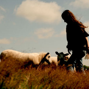 HARRIET MILLER - FOR THE LOVE OF LAM AND THE LAND