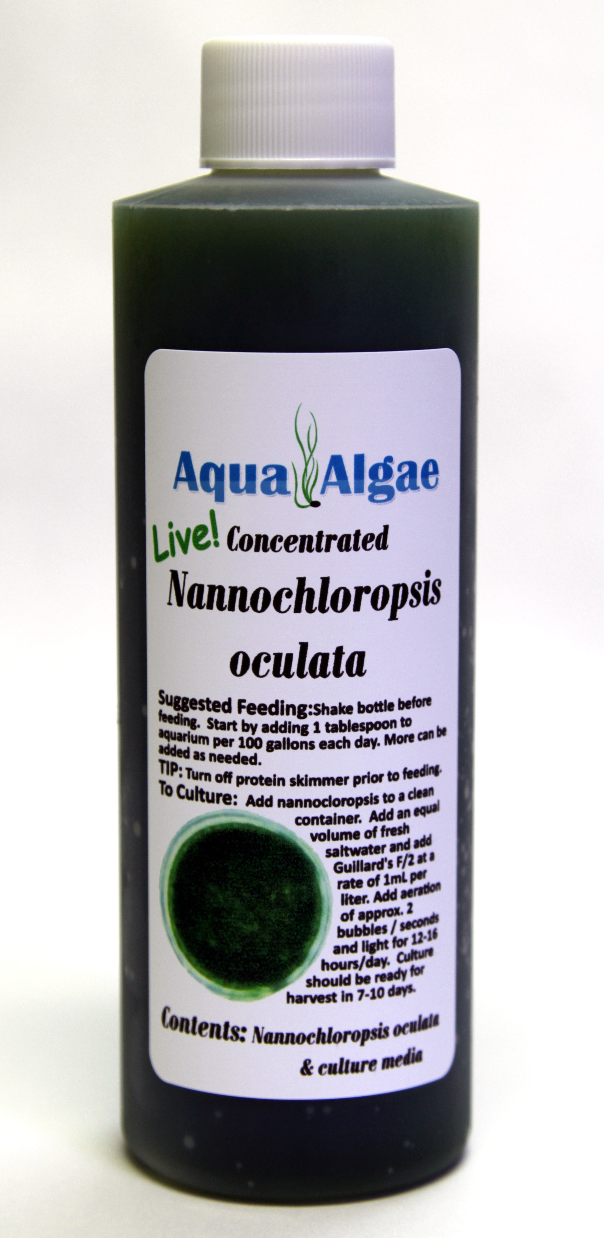 live nannochloropsis 8 oz