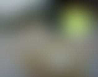 Banda delictiva que enviaba droga dentro del organismo de extranjeros fue desarticulada por la UIA