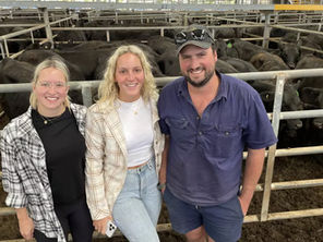 Cattle crack 400c/kg as two volume buyers purchase 65pc of Yea's yarding