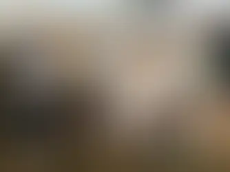 Yea agents 'extremely happy' with sale results considering lack of weight | 10 January 2025