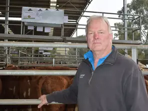 Northern orders lift Yea prices on a fortnight ago in 'much better' sale