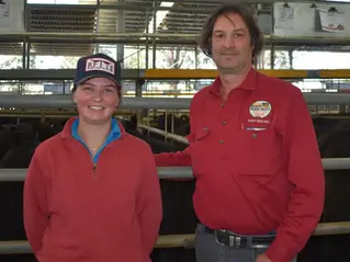 Beef producers hold back stock from Yea cattle sale as weekend rain looms
