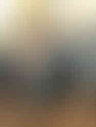 Jimmy Cox from Nutfield showcasing a well-finished line of Herefords that drew strong buyer interest