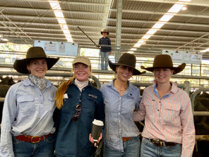 Victorian Livestock & Property Weaner Sale 7 Jan 2026: Our People