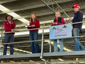 Combined Agents Store Sale 14 November 2025: Our People at Work