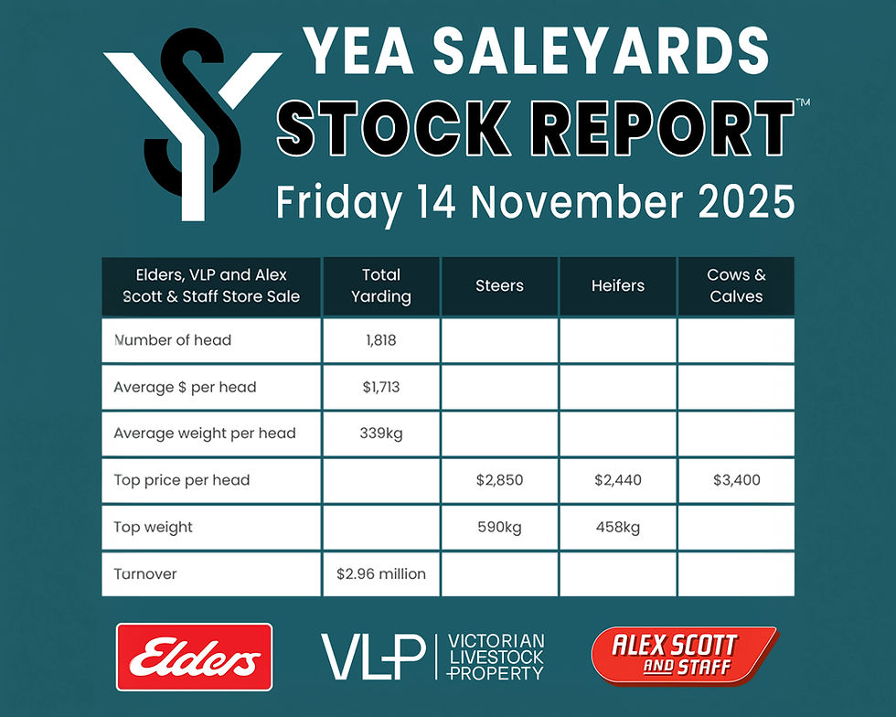STOCK REPORT: Nutrien Store Sale 14 November 2025