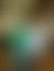 Jimmy Cox from Nutfield showcasing a well-finished line of Herefords that drew strong buyer interest