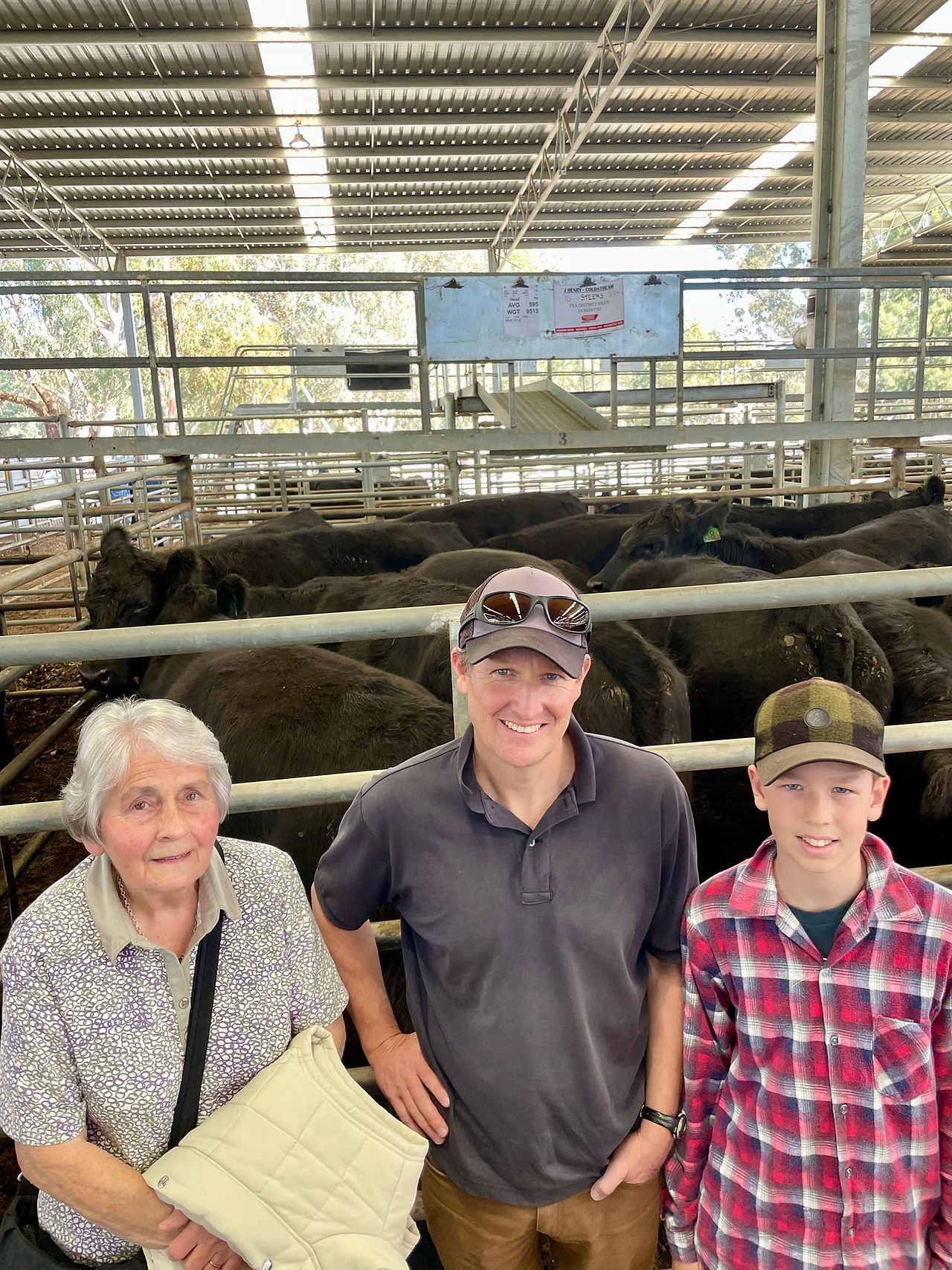 Julie Henry, Coldstream, selling heavy steers, with Brad and Daniel Williams