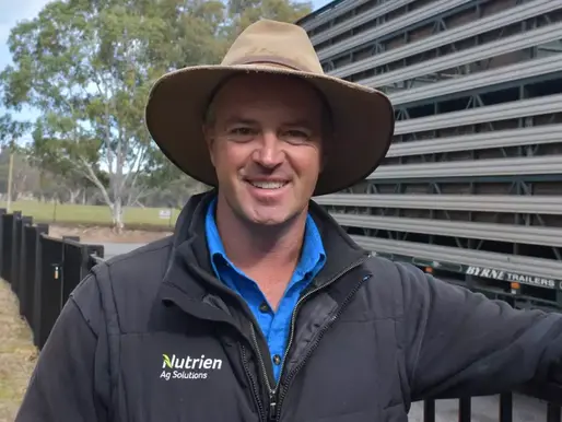 Nutrien Yea's special weaner sale sees top stock head to Queensland, NSW