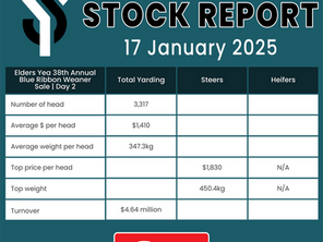 STOCK REPORT: Elders Yea 38th Annual Blue Ribbon Weaner Sale Day 2 | 17 January 2025