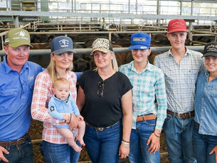 Nearly 3000 weaners hit the Yea market, as vendors sell early