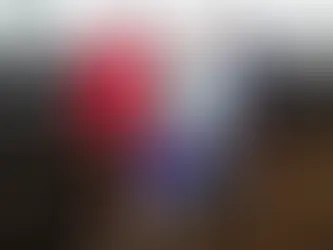 Yea weaner prices $100 ahead of northern markets as VLP holds inaugural sale