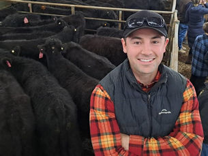 Yea cattle sale: Buyers return to the market as spring feed lifts