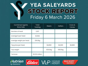 STOCK REPORT: Combined Agents Store Sale 6 March 2026
