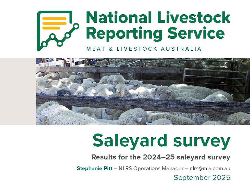 2025 Meat & Livestock Australia NLRS Saleyard Survey