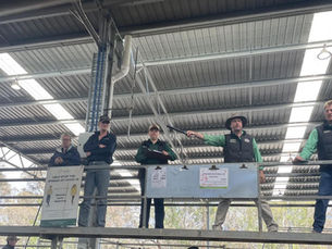 Yea store sale November: Weaners drop $400