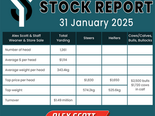 STOCK REPORT: Alex Scott & Staff Weaner Sale 31 January 2025