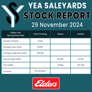STOCK REPORT: Elders Yea Spring Store Sale 29 November 2024