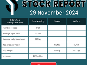 STOCK REPORT: Elders Yea Spring Store Sale 29 November 2024