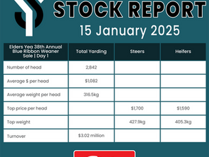 STOCK REPORT: Elders Yea 38th Annual Blue Ribbon Weaner Sale Day 1 | 15 January 2025