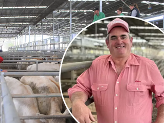 Yea prices similar to other sales but quality weaner steers trade dearer