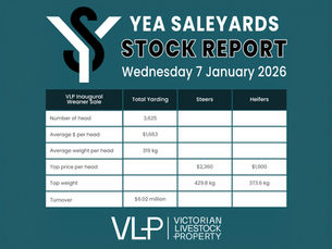 STOCK REPORT: VLP Inaugural Weaner Sale 7 January 2026