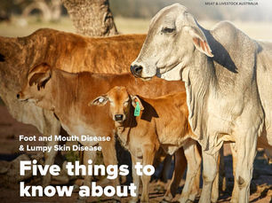 MLA: Five things to know about FMD and LSD