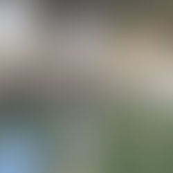 1月30日ジャンプトレーニング開催しました。